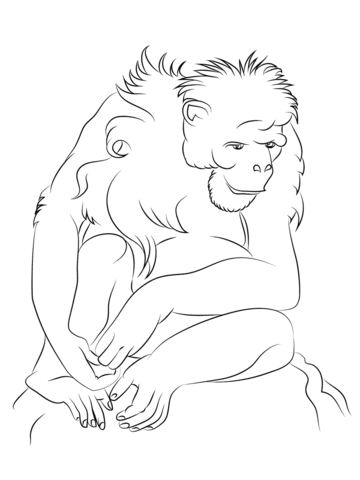 Sitting Chimpanzee Coloring Page